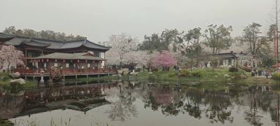 湖北武汉