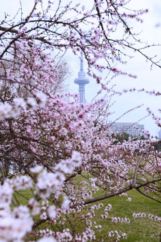城市