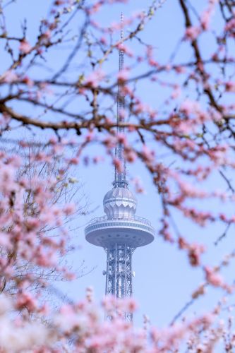 城市