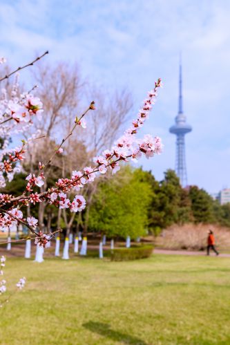 城市