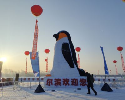 城市