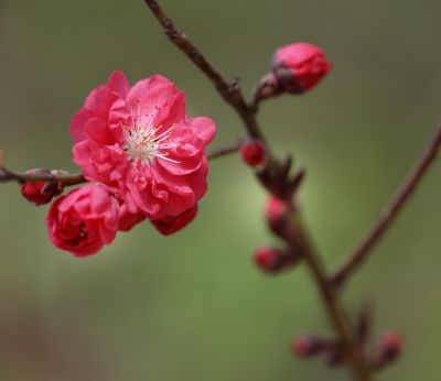 城市
