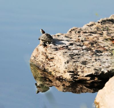 景色