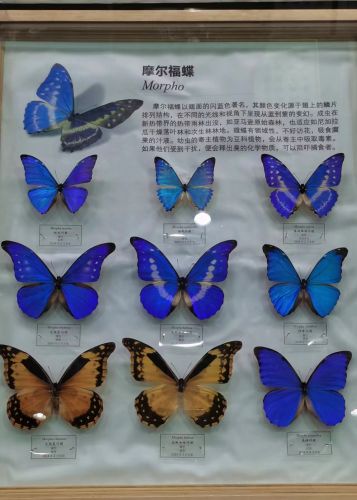 城市