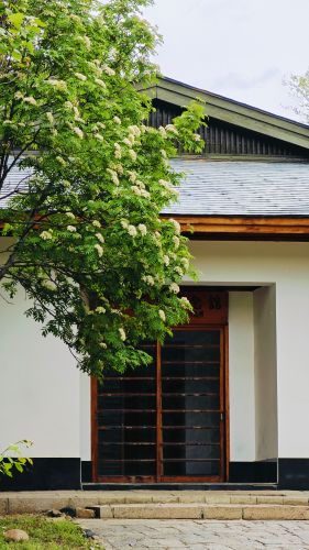 城市