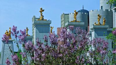 城市