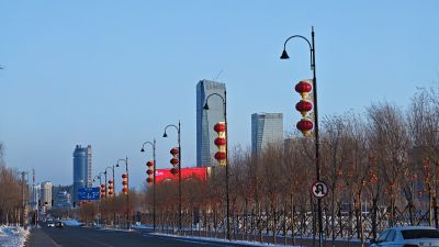 城市
