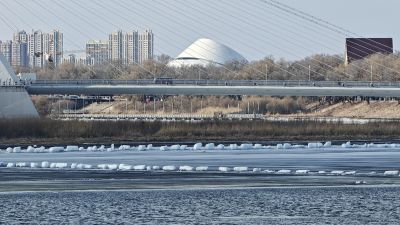 城市