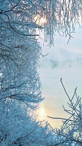 风景
