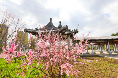城市