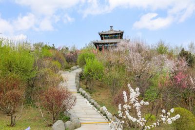 城市