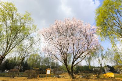 城市