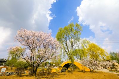 城市