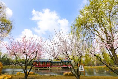 城市