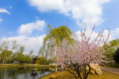 城市