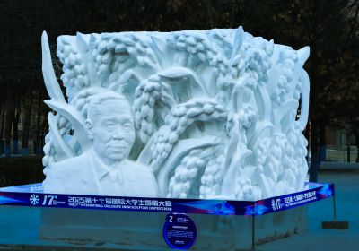城市