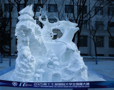 城市