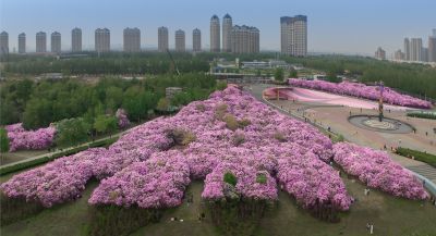 城市