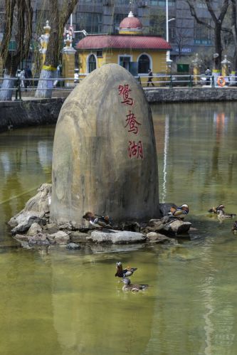 城市