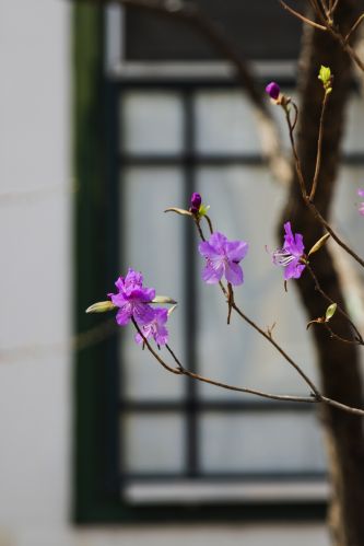 城市