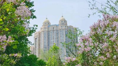 城市