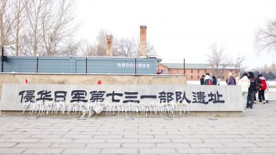城市