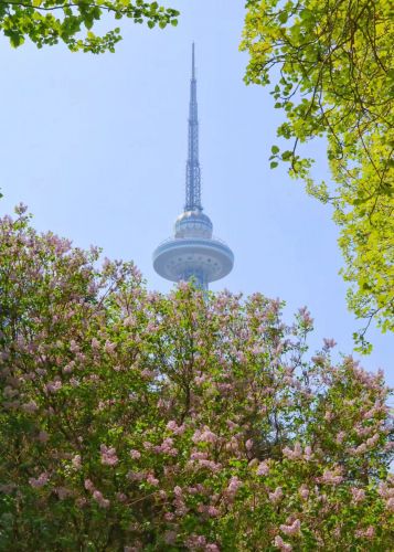 城市