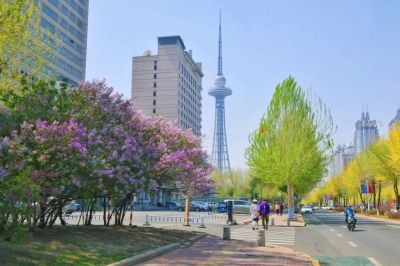 城市