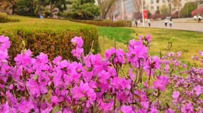 春季