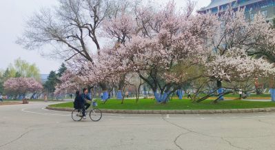 春季