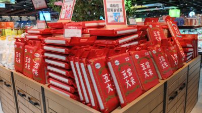 春季