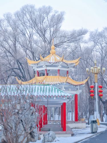 风景