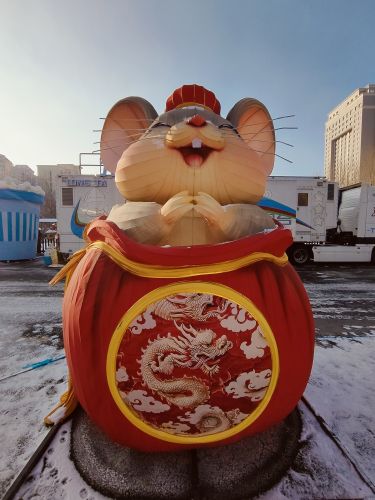 城市