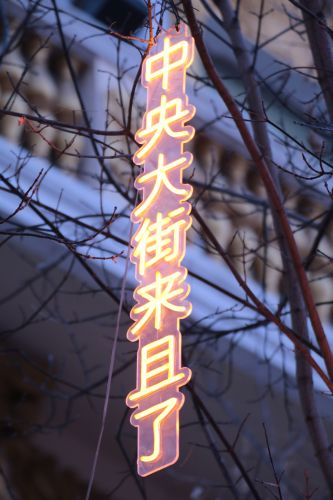 城市
