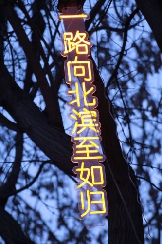 城市