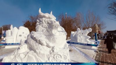 城市