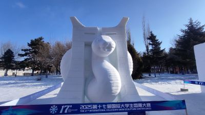 城市