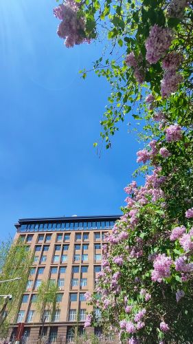 城市