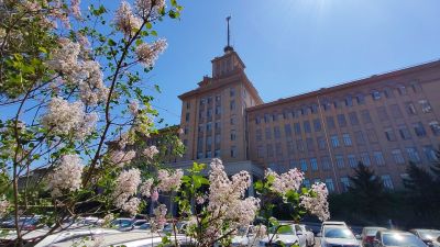 城市