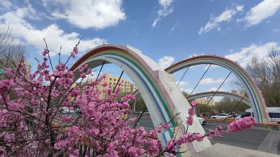 春季城市