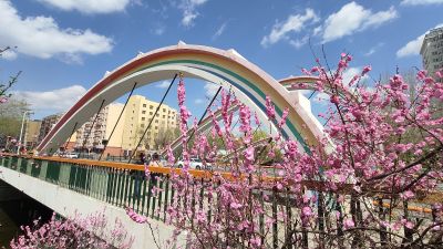 春季城市