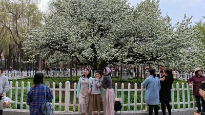 春季城市