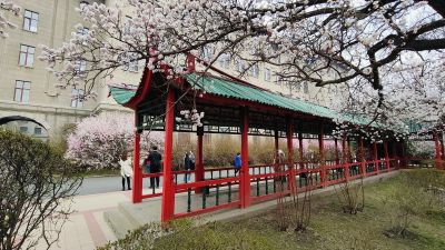 春季城市