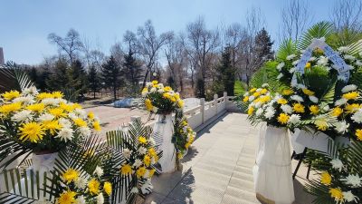 春季城市