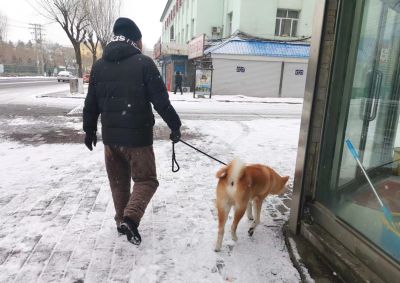 城市