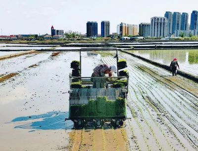 尚志市