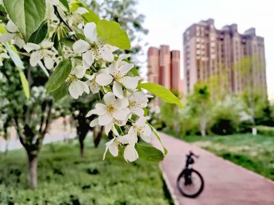 尚志市