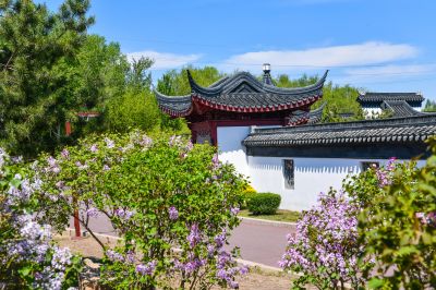 春季城市