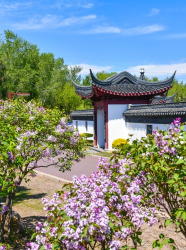 春季城市