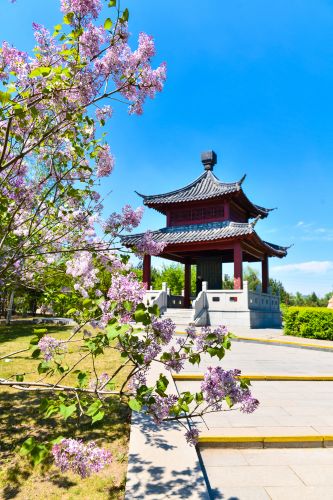 春季城市